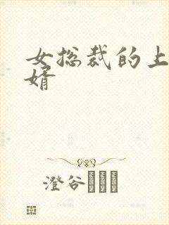 女总裁的上门女婿