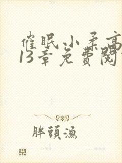 催眠小柔高达第13章免费阅读