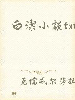 白洁小说txt