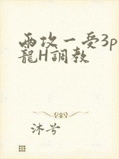 两攻一受3p双龙H调教
