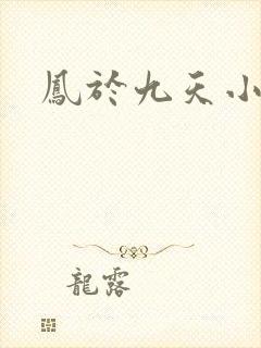 凤于九天小说