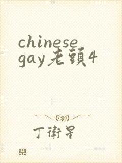 chinesegay老头4