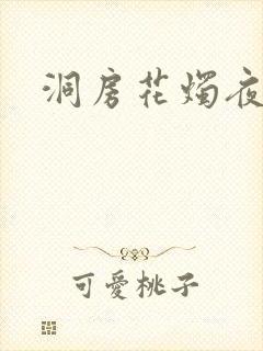 洞房花烛夜小说