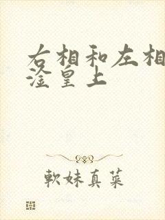 右相和左相一起淦皇上