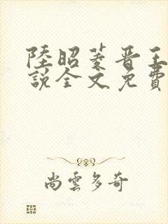 陆昭菱晋王的小说全文免费阅读