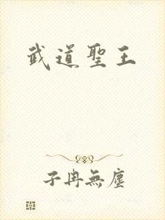 武道圣王