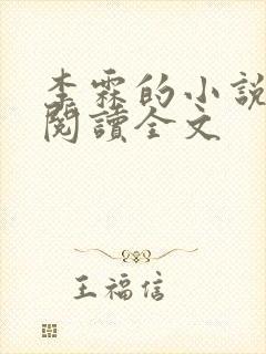 李霖的小说免费阅读全文