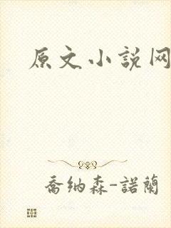 原文小说网