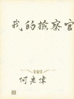 我的检察官先生