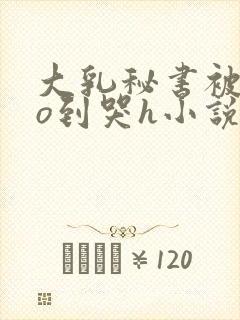 大乳秘书被cao到哭h小说