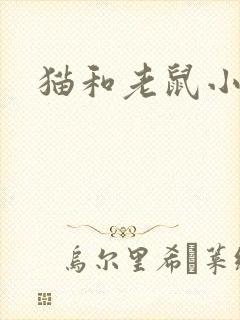 猫和老鼠小说