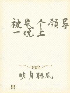 被几个领导玩弄一晚上