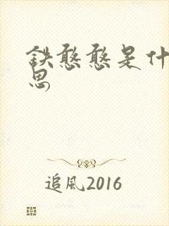 铁憨憨是什么意思