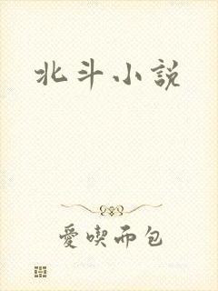 北斗小说