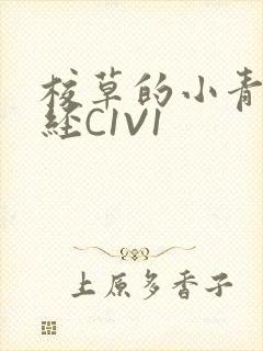 校草的小青梅不经C1V1