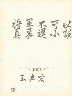 将军不可以魏云真慕迟小说笔趣阁