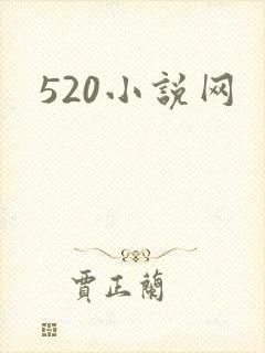 520小说网