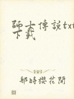 师士传说txt下载