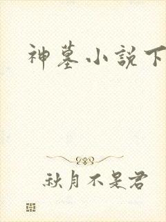 神墓小说下载