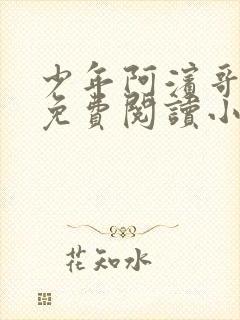 少年阿滨哥全文免费阅读小说