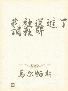 我被送进了私奴调教所