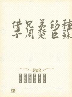 借兄弟的种生孩子周楚臣苏糖