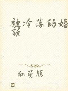 被冷落的婚姻小说