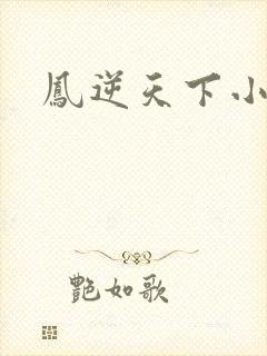 凤逆天下小说