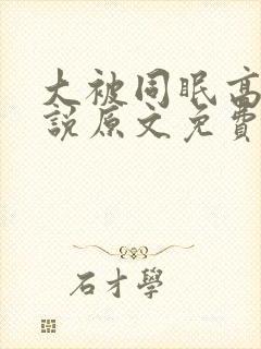 大被同眠高粱小说原文免费阅读