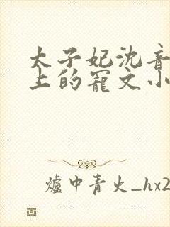 太子妃沈音和皇上的宠文小说