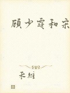 顾少霆和宋斯曼