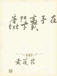 唐门高手在异世txt下载