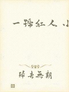 一号红人 小说