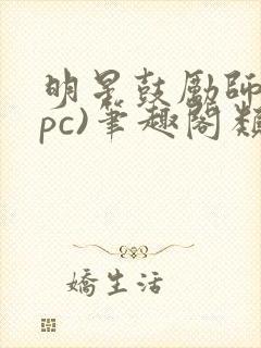 明星鼓励师(npc)笔趣阁类似