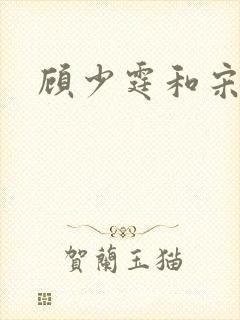 顾少霆和宋斯曼