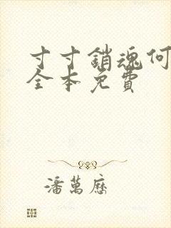 寸寸销魂何生祥全本免费