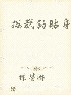 总裁的贴身女佣