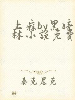 上瘾by黑暗森林小说免费