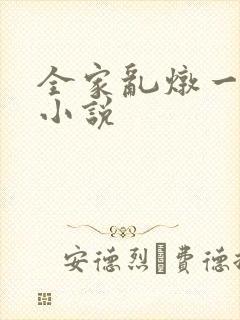 全家乱炖一锅烩小说