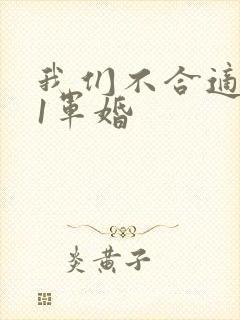 我们不合适1v1军婚