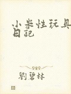 小米性玩具羞辱日记