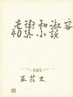 老卫和淑容1-40集小说