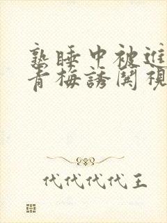 熟睡中被进了H青梅诱哄视频