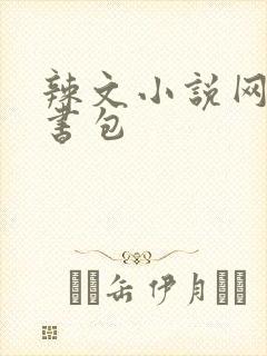 辣文小说网第二书包