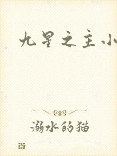 九星之主小说