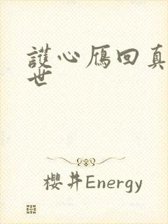 护心雁回真实身世