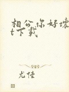 相公你好坏txt下载