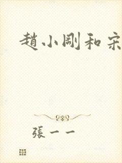 赵小刚和宋雨晴