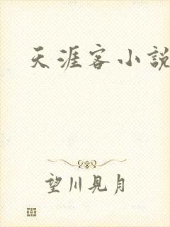 天涯客小说
