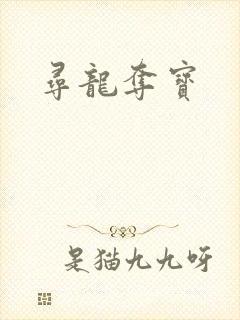 寻龙夺宝